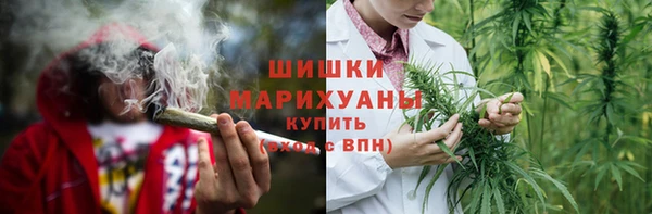 стаф Баксан