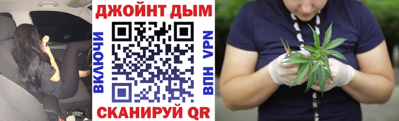 мега зеркало  Свободный  Шишки марихуана сатива 